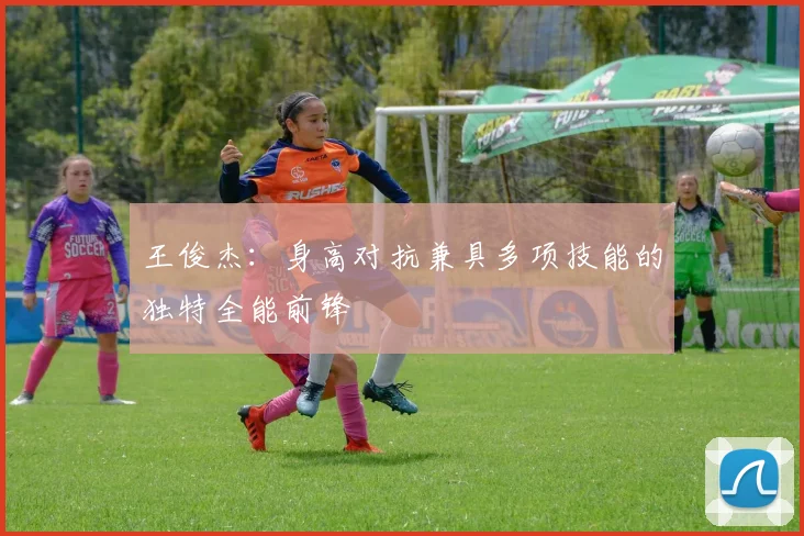 王俊杰：身高对抗兼具多项技能的独特全能前锋